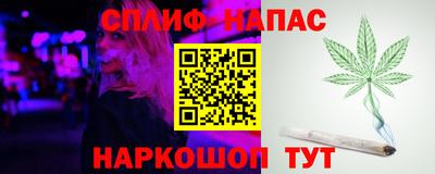 spice Гай