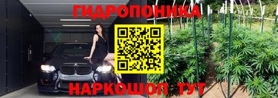 твердый Тара