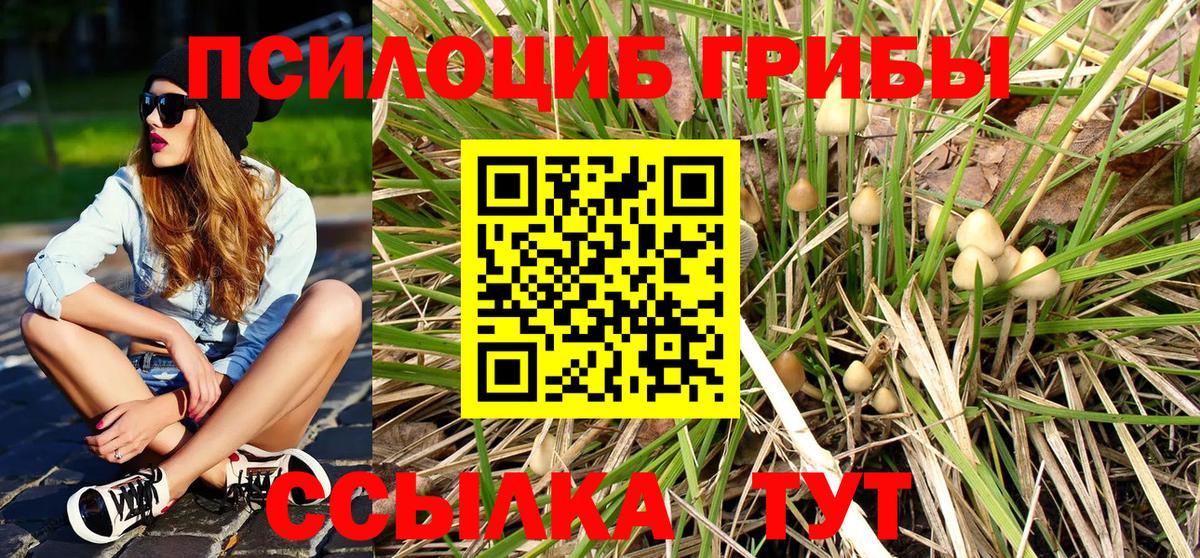 Псилоцибиновые грибы ЛСД Миллерово