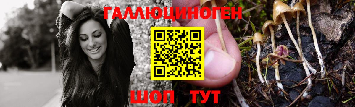 Галлюциногенные грибы Psilocybine cubensis  Вход с VPN  Миллерово 